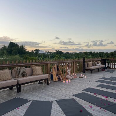 Galerie L'Anacardier